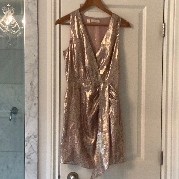 Ramy Brooks Gabriela Silk Metallic Dress Small - Picture 5 of 13